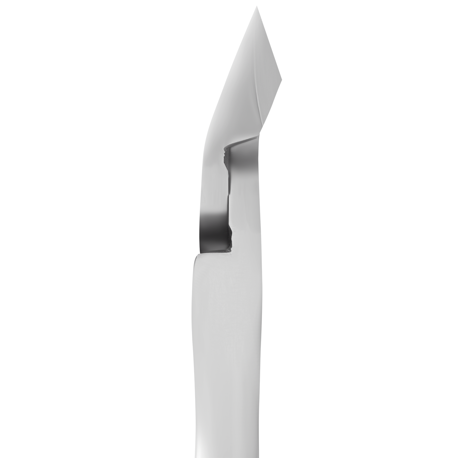 EXPERT 20 Tırnak Eti Pensi 8 mm