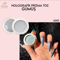 PRİZMA TOZ GÜMÜŞ
