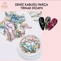 DENİZ KABUĞU PARÇA SÜS